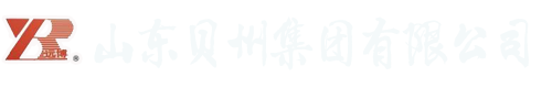 山東競道光電-LOGO